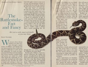 Rattlesnakes fact and fancy_Family safety Jun65
